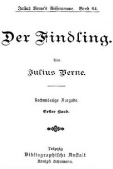 Der Findling. Erster Band by Jules Verne