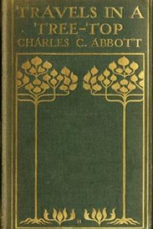 Travels in a Tree-top by Charles Conrad Abbott