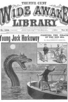 Young Jack Harkaway Fighting the Pirates of the Red Sea by Bracebridge Hemyng