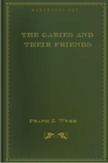 The Garies and Their Friends by Frank J. Webb