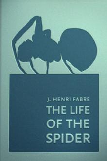 The Life of the Spider by Jean-Henri Fabre