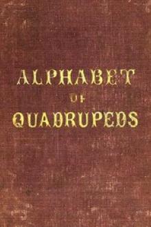 An Alphabet of Quadrupeds by Anonymous