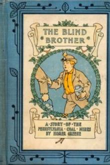 The Blind Brother by Homer Greene