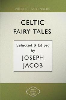 Celtic Fairy Tales by Unknown